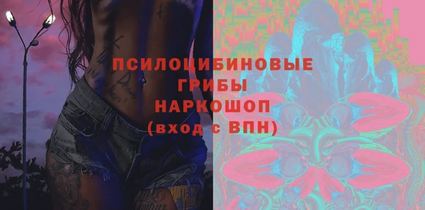 гашик Абаза