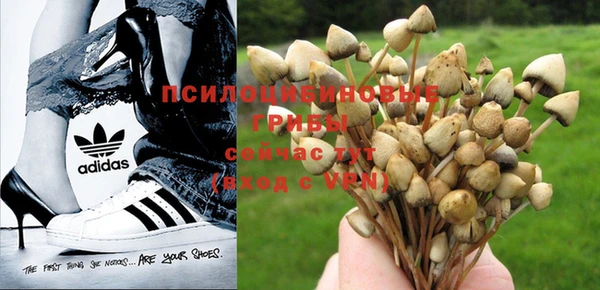 сатива Остров