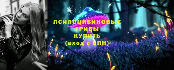 гашик Абаза