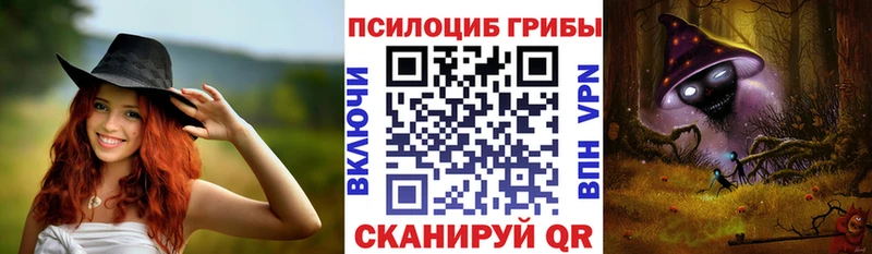 Галлюциногенные грибы мицелий Шенкурск