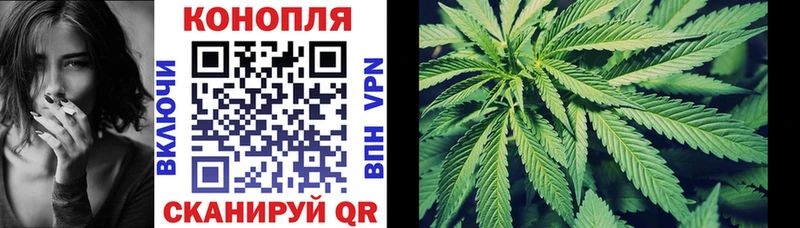 МЕГА как зайти  Шенкурск  Канабис THC 21%  цены  
